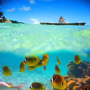 Want to go to the REAL Cook Isla