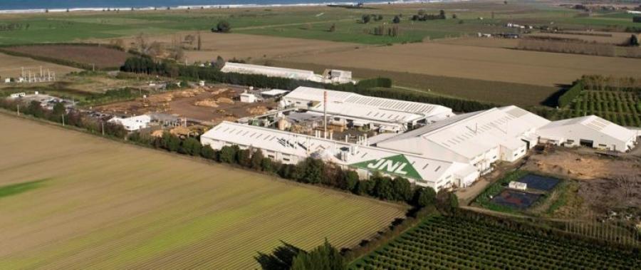 Juken’s Matawhero Mill in Gisborne processes Radiata Pine from the company’s East Coast Forests.