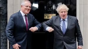 Boris and Scomo Fell Into Tender Trap
