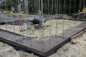 Rochelle Payne writes the fourth