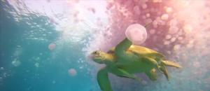 Greenpeace is launching its video campaign against single-use plastic bags today. Video: Greenpeace