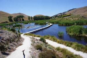 While Texas has oil, Hawkes Bay has it&#039;s water