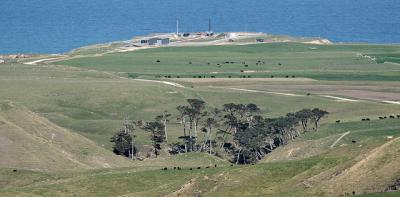 Electron delivered to the launch site