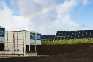 Assault and Battery on Pastoral Economy