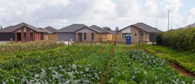 New Zealand’s Pukekohe agri hub under pressure