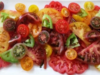 Tomatoes NZ agroecology projects hoping to reduce the need for pest-reducing chemicals