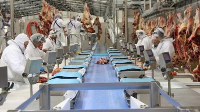 Alliance acquires business of Singapore’s GoldKiwi Asia