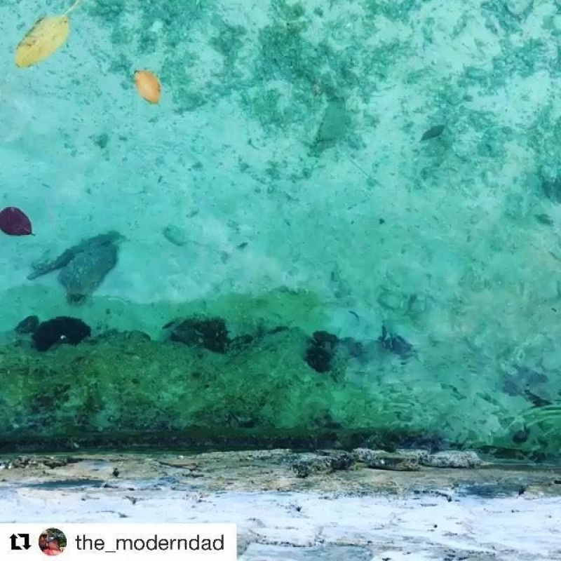 #Repost @the_moderndad (@get_rep