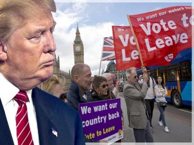 Trump-Brexit Trademarks Identical on both sides of Atlantic