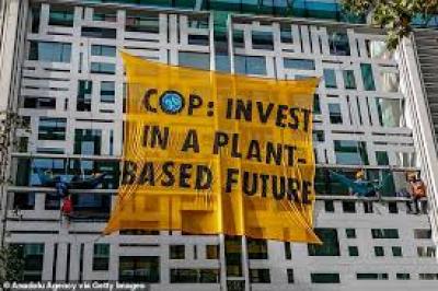 World Health Organisation Plant Diet to save five million lives