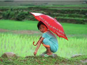 Vietnam&#039;s transformation from an agrarian to a modern economy