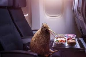 Air New Zealand Is Coming After Americans With A Talking, Flying Kiwi