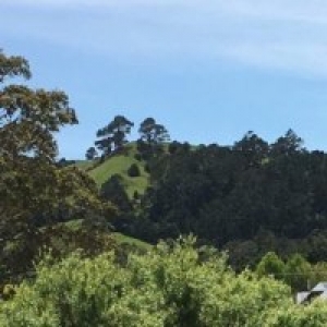 Follow the journey of one of cli