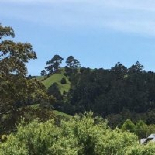 Follow the journey of one of cli