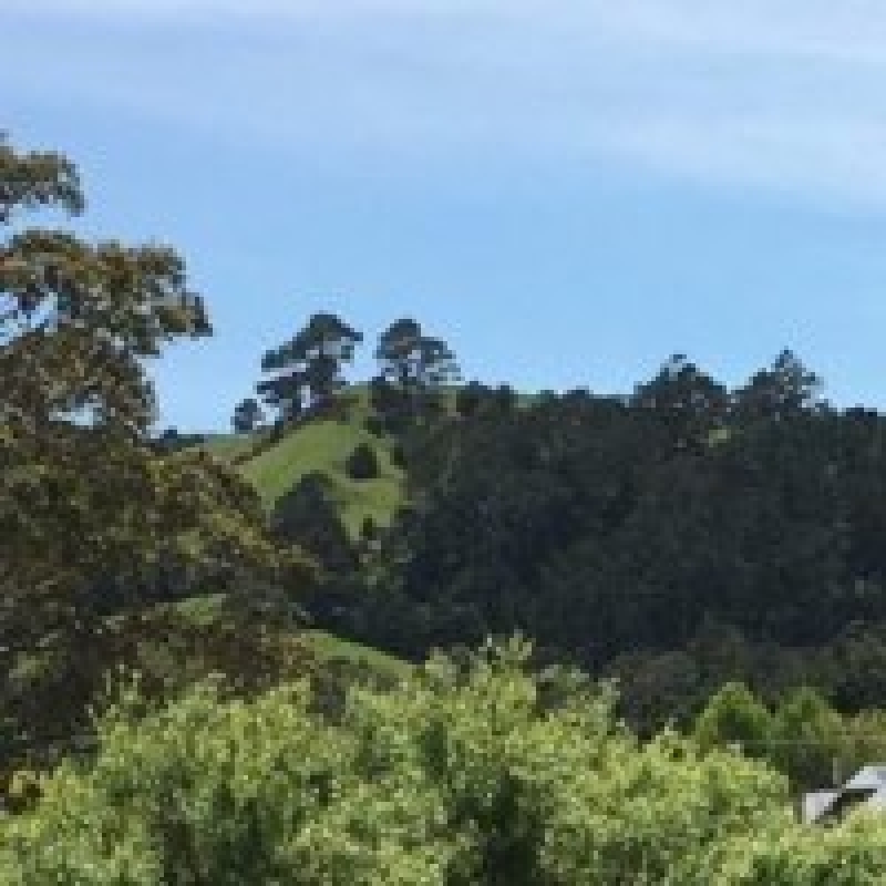 Follow the journey of one of cli