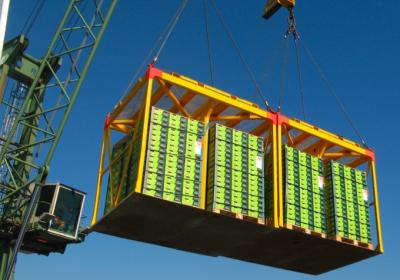 Kiwifruit Exports by Country New Zealand tops the list