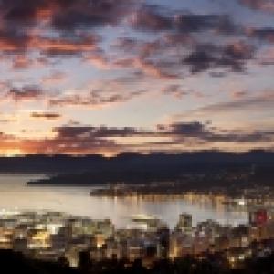 A group of 15 Chinese mayors and vice-mayors is heading to Wellington for talks with NZ counterparts about trade and investment opportunities.