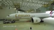 How Emirates SkyCargo transports flowers around the world