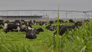 Top scientist: Fixing freshwater issues an &#039;enormous challenge&#039;