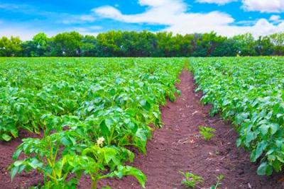 NZ agritech startup goes live on the ASX