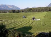 Farm Stay Awakening reveals Central Europe’s Agricultural Activity