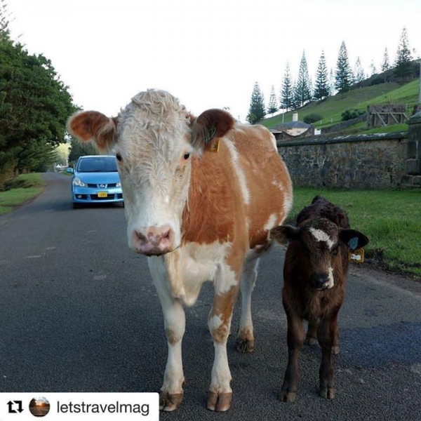 If you hanker for a great holida