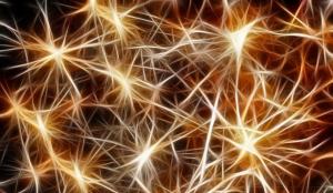 Ripple price (XRP/USD) surges as Amex introduces cross-border payments powered by RippleNet