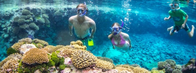 Fizz, Bang deals for Guy Fawkes