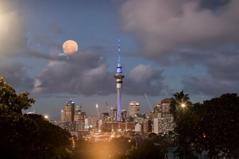 On the 20th anniversary of Auckl