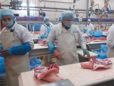 Red meat sector looks to government for action