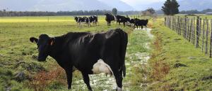 Fences to Chicago and back but still a long way to go