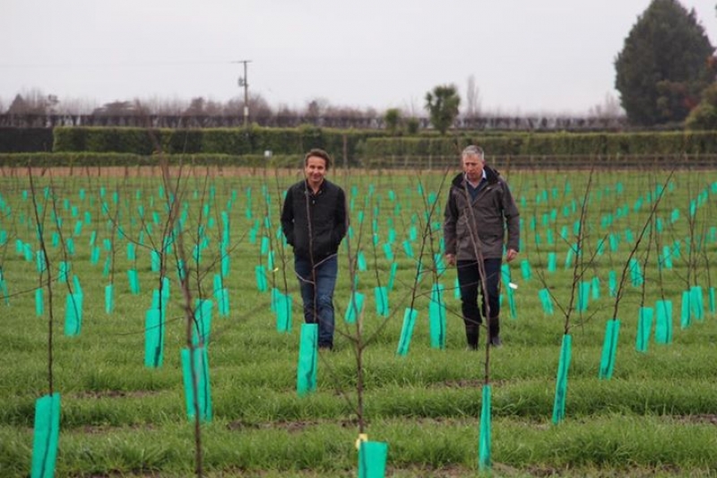 Plenty more plantings over the l