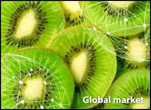 Overview global kiwifruit market