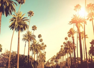 Fly to LAX for ONLY $875 return