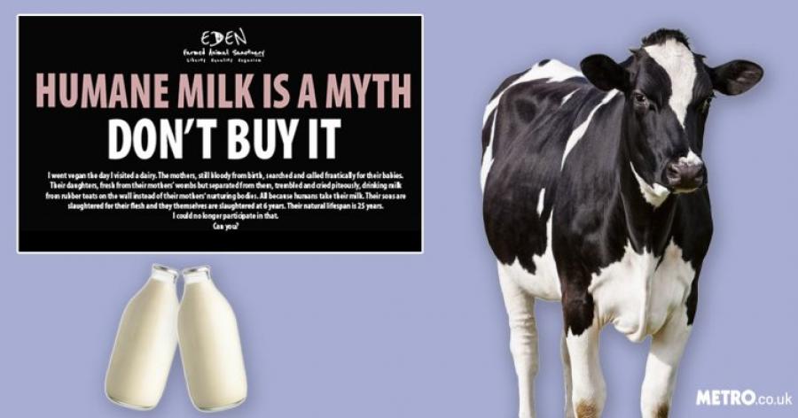 Dairy Industry Top of NZ Activist Hit List
