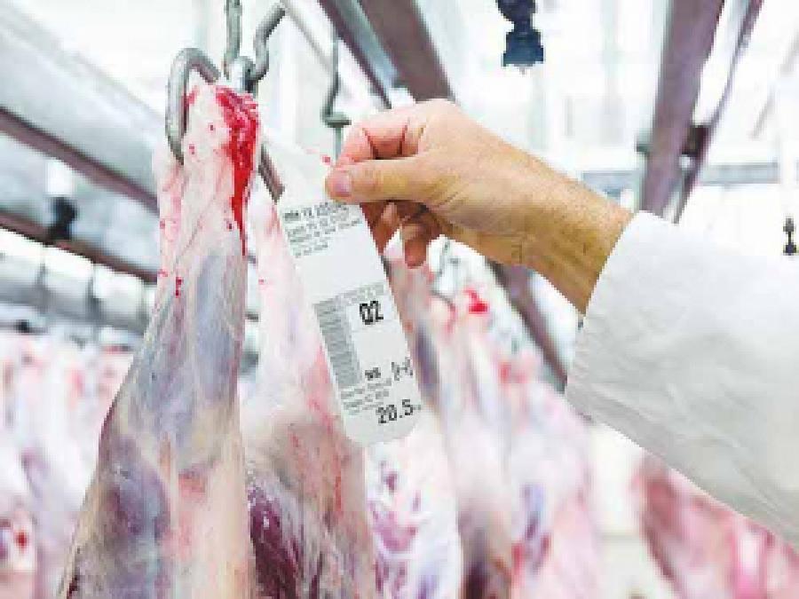 $600m in NZ meat industry takeovers