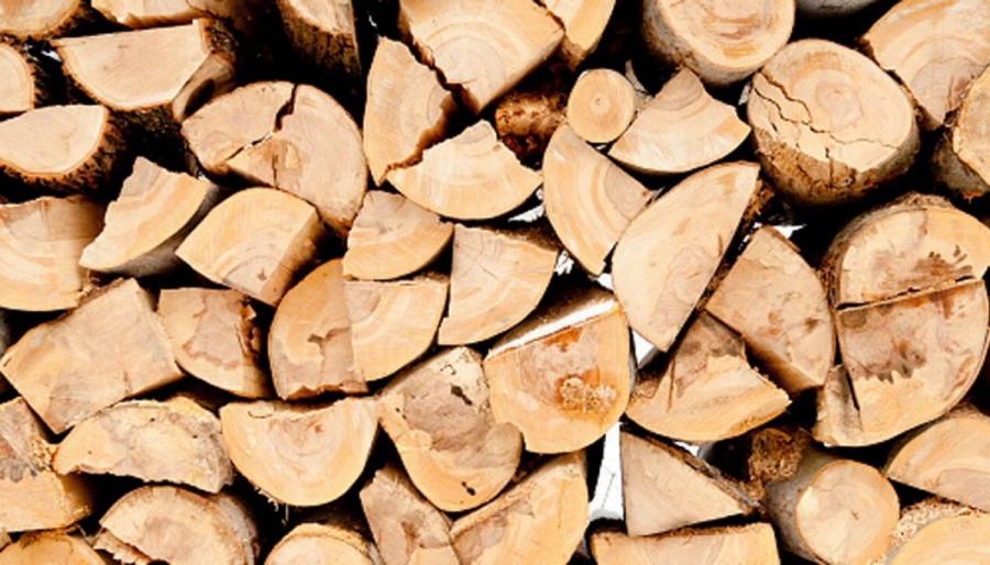 Grant to investigate solution to hazardous treated timber waste