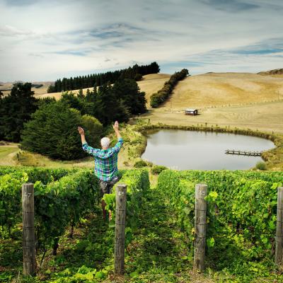 US billionaire’s ambitious NZ wine plans