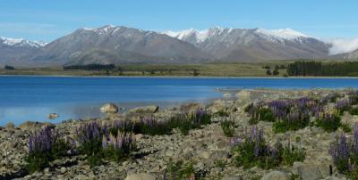 Soon it will be “just in time – to be too late”