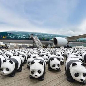 Europe with Cathay Pacific. Fant