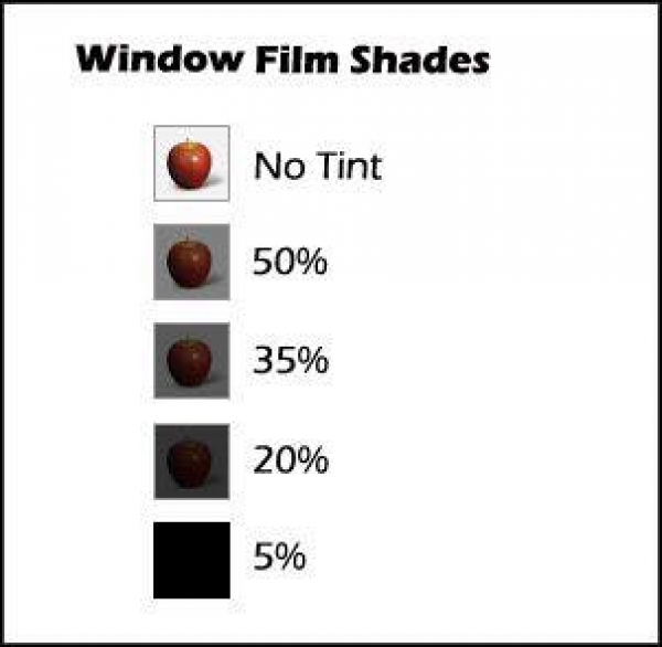 Have you ever wondered what the