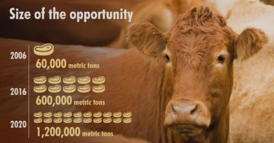 Who’s likely to bite off a slice of China’s growing taste for beef?