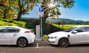 Whangarei leading NZ’s charge in the EV world